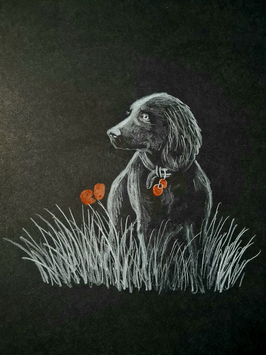 remembrance art