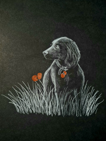 U505 Original Polychromo - 'Poppy Dog #34'