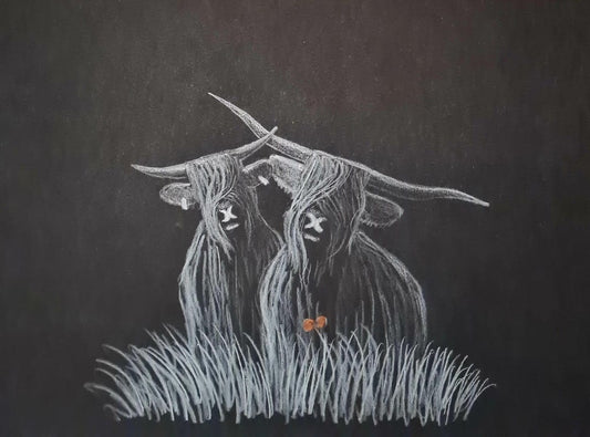 highland coo art
