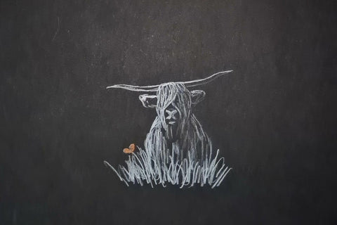 U514 Original Polychromo - 'Highland Coo #12'