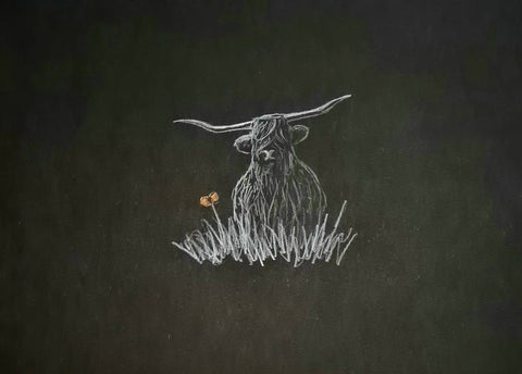 U516 Original Polychromo - 'Highland Coo #16'