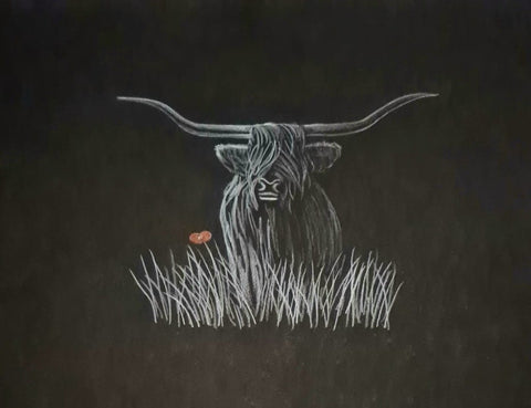 U518 Original Polychromo - 'Highland Coo #18'