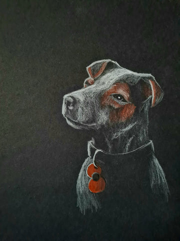 U524 Original Polychromo - 'Poppy Dog #35'