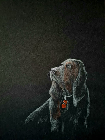 U525 Original Polychromo - 'Poppy Dog #36'