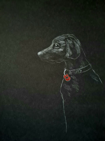 U526 Original Polychromo - 'Poppy Dog #37'