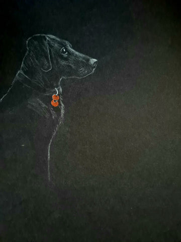 U528 Original Polychromo - 'Poppy Dog #38'