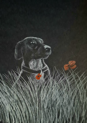 U529 Original Polychromo - 'Poppy Dog #39'