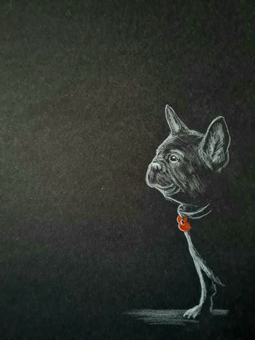 U530 Original Polychromo - 'Poppy Dog #30'