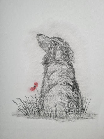 U531 Original Polychromo - 'Poppy Dog #41'