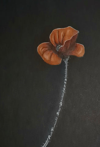 U538 Original Polychromo - 'PTSD Poppy'