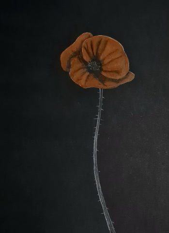 U450 Original Polychromo - 'Just a Poppy #5'