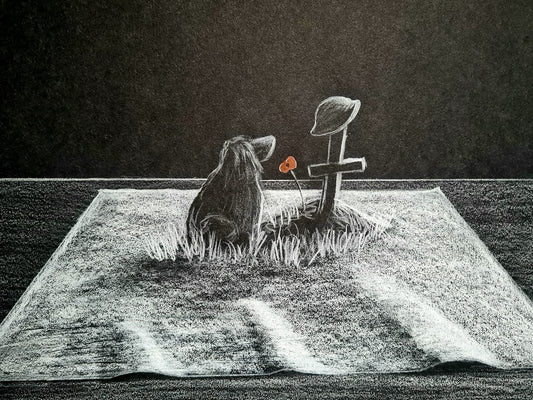 anamorphic art