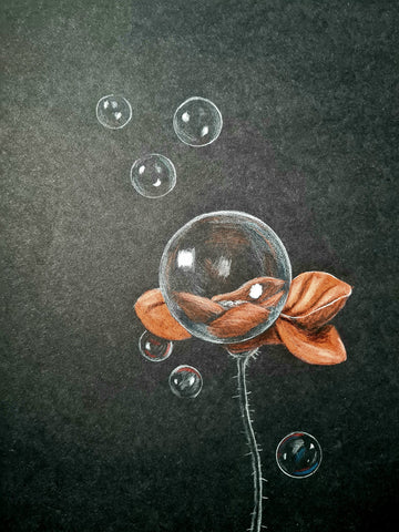 U546 Original Polychromo - 'Poppy bubbles'