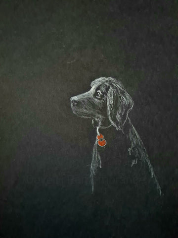 U575 Original Polychromo - 'Poppy Dog #44'